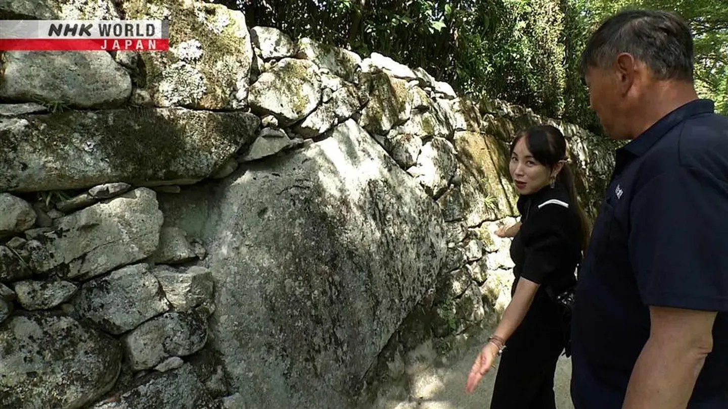 Natural Stone Walls
