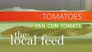 Tomatoes | Pan Con Tomate