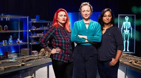 Video thumbnail: The Bone Detectives Stoke Quay, Ipswich