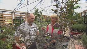 Video thumbnail: Volunteer Gardener Volunteer Gardener 2810
