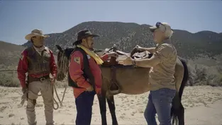 The Pony Express