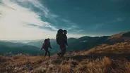 The Science Behind the Pulse in Our Bodies