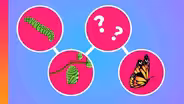 The Truth About Butterfly Metamorphosis (It's Very Weird)