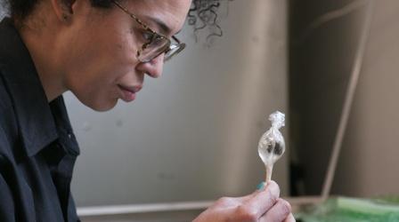 Video thumbnail: Oregon Art Beat Lisa Jarrett