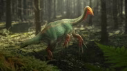 The Mystery Of The Mashed-Up Dinosaurs