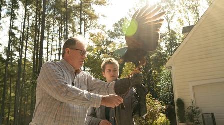 Video thumbnail: SCI NC Modern Science in the Ancient Skill of Falconry