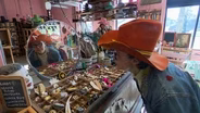 Tennessee Crossroads 3933
