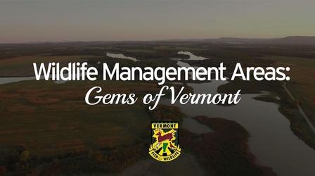 Video thumbnail: Vermont PBS Specials Wildlife Management Areas - Gems of Vermont