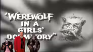 Werewolf in a Girl’s Dormitory