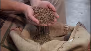 Texas Coffee Traders