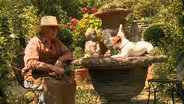 The Well-Placed Weed teaser
