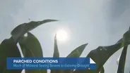 Despite Recent Rain, Severe Drought in Illinois Persists