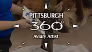 Aviary Artist