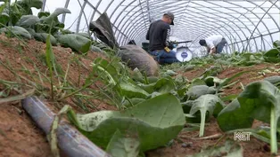 Fresh Produce During the Off-Season