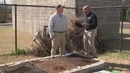 Soil for Raised Beds & Pre-Emergent Herbicides
