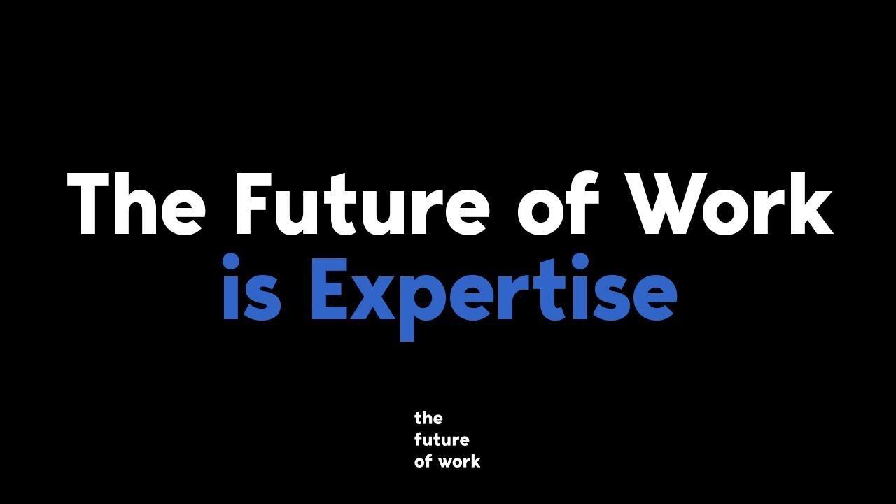 The Future of Work: Expertise Project