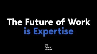 The Future of Work: Expertise Project