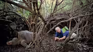 Attenborough’s Last Encounter with Lonesome George