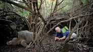 Attenborough’s Last Encounter with Lonesome George