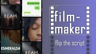 South Florida Student Film Showcase | Film Maker: Flip the Script