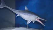 Ancient Sea Creatures Surface in ‘Jurassic Oceans’ Exhibit