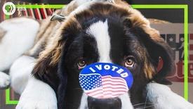 Should we make voting mandatory?: asset-mezzanine-16x9