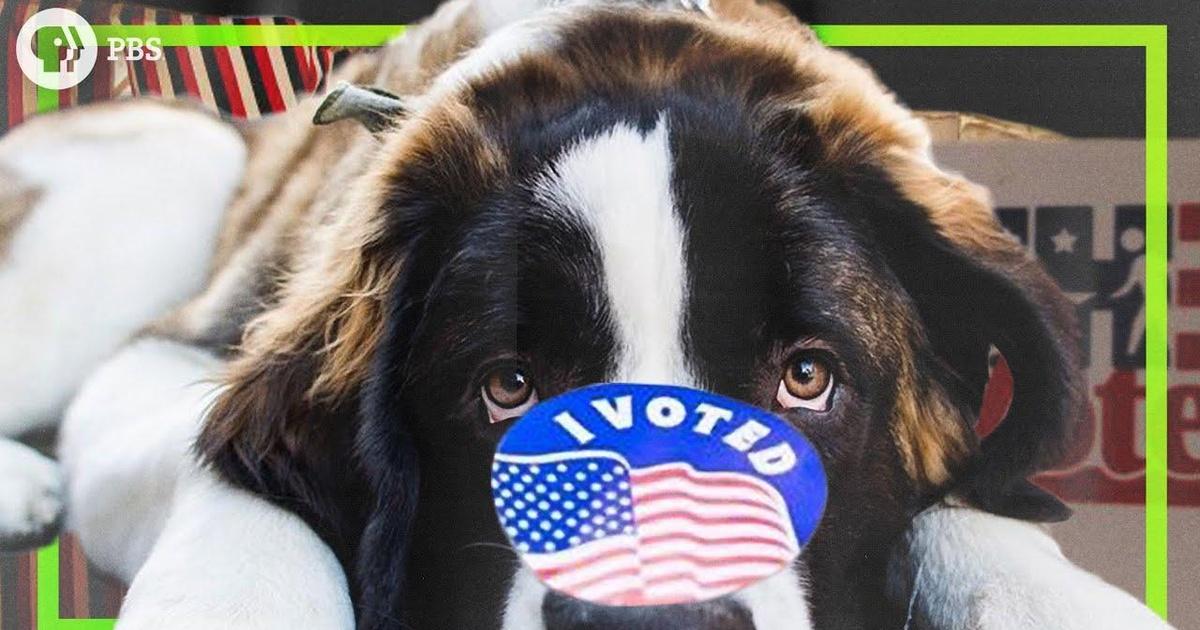 America From Scratch | Should we make voting mandatory? | Episode 9