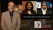 S35 E21: Cure Violence Global: A Public Health Approach