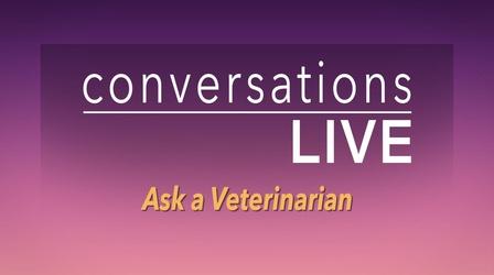 Video thumbnail: Conversations Live Ask a Veterinarian December 2020