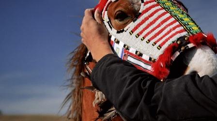 Video thumbnail: Postcards The Horse Relative, The Devil’s Instrument, Postcards Coffee