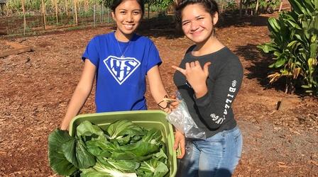 Video thumbnail: PBS Hawaiʻi Presents School Stories: Sustainability in Action