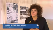 New Photo Exhibit Showcases Chicago Celebrations