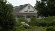 Kimmel Orchard and Vineyard & Iron Chlorosis