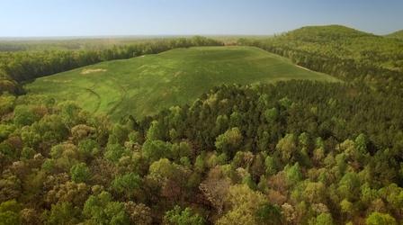 Video thumbnail: Virginia Home Grown Land Management