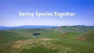 Saving Species Together Preview