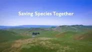 Saving Species Together Preview