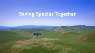 Saving Species Together Preview