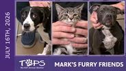 7/16/2026 | Bibbidi-Bobbidi-Boo, Beluga and Beatrice | Mark's Furry Friends