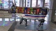 Ask Geoffrey: How Now, Chicago Cows?