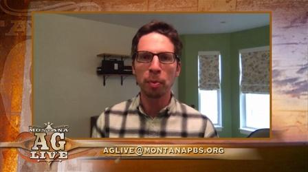Video thumbnail: Montana Ag Live Production Ag's Demand Effects By COVID-19 (No. 5308)