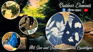 Art, Sun and Science: Botanical Cyanotypes