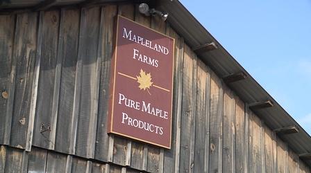 Video thumbnail: The Local Feed Maple | Maple Weekend