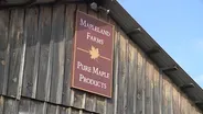 Maple | Maple Weekend