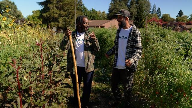 Ujamaa: A Collective for Black Farmers