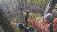 Deer hunting, Perch fishing, Taxidermy | Michigan Out of Doors