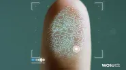 Advances in Fingerprinting