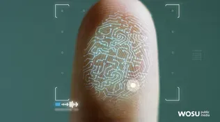 Advances in Fingerprinting