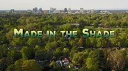 Made in the Shade