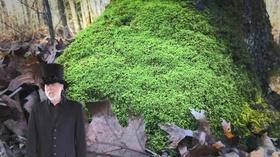 Video thumbnail: Steve Trash Science PLANTS/WICKED WAVES OF SOUND