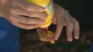 Deep Frydays: Potato Chip-Crusted Polish Sausage